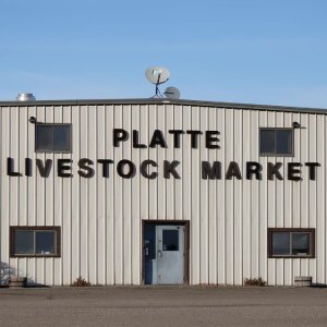 Platte Livestock Market